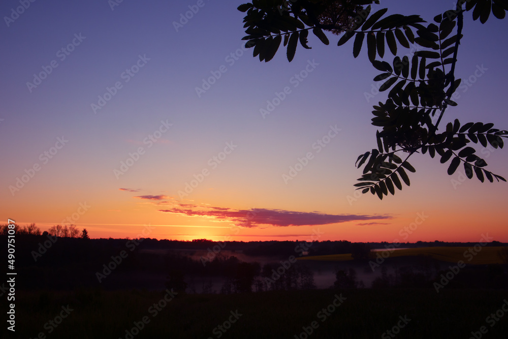 Beautiful colorful sunrise with a tree silhouette in the foreground. Seasonal spring scenery of Northern Europe.