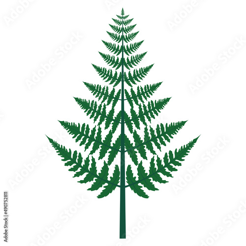 Leaf green fern frond as Vascular plant with stem and complex leaves bush plant leaves. Tropical forest herbs. Decoration on white background. Vector Illustration