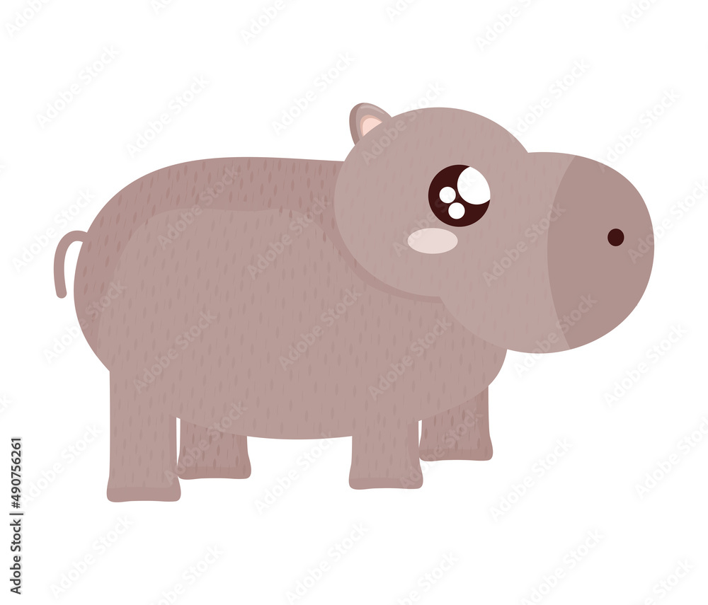 baby hippopotamus design baby hippopotamus design