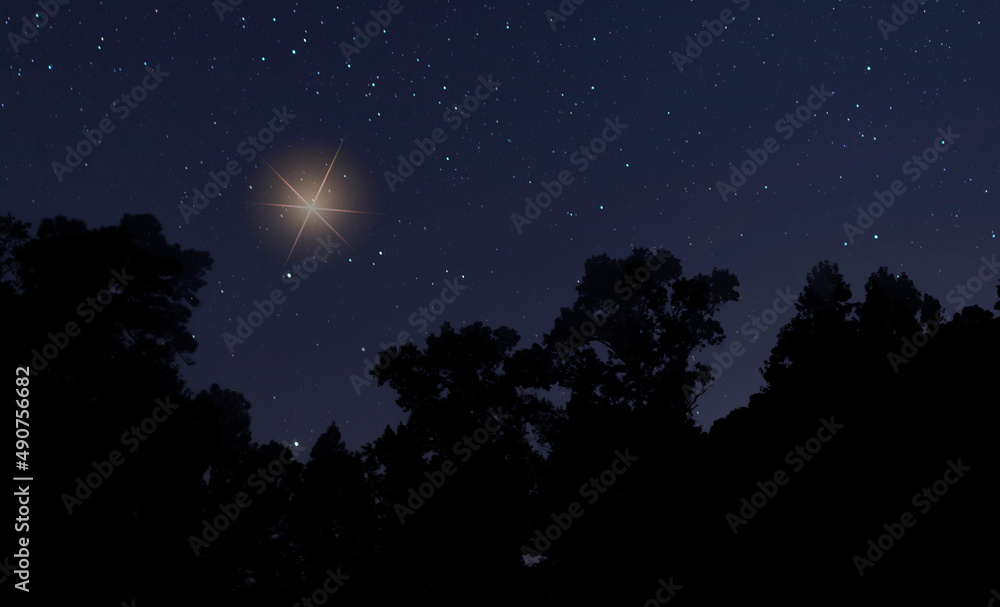 Bright star in the sky for Christmas Bright star in the sky for Christmas