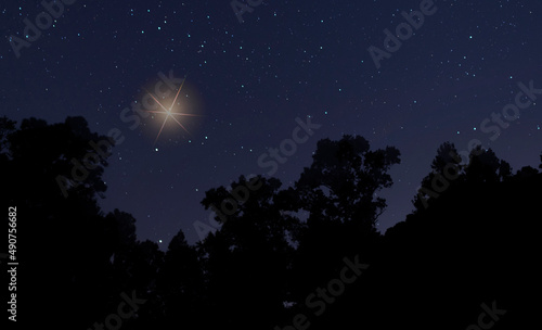 Bright star in the sky for Christmas