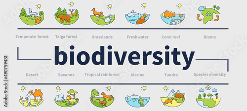 Biodiversity ecosystem vector infographics. Consists of desert, grassland, tundra, freshwater, rainforest, coral reef zones for layout, info chart, banner. Ecosystem presentation