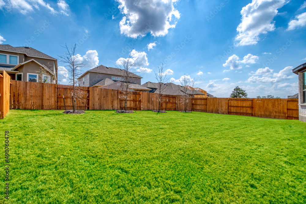 Green back yard