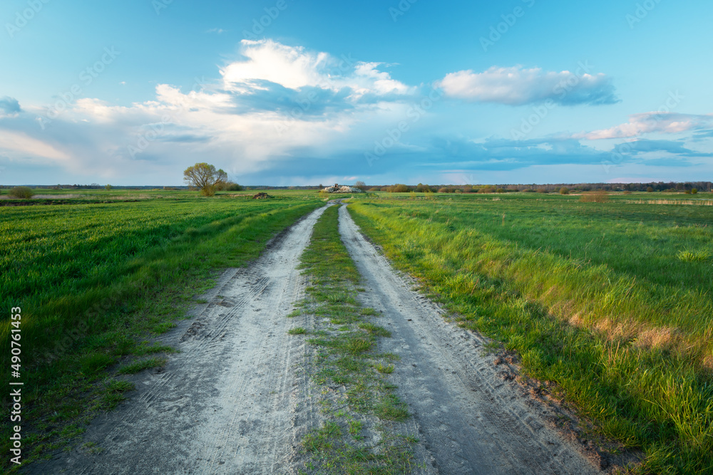 Dirt road through green fields and clouds above the horizon