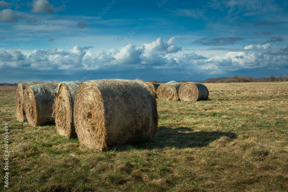 Round hay bales on a meadow and cloudy sky, Czulczyce, Poland