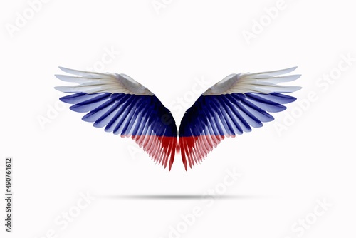 Russian flag colored wings Isolated on white background, double exposure style. cutting path
