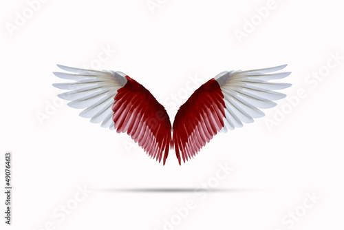 Japanese flag colored wings Isolated on white background, double exposure style. cutting path