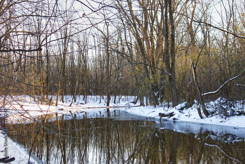 A river passing through a wooded area after the first snow covering the ground