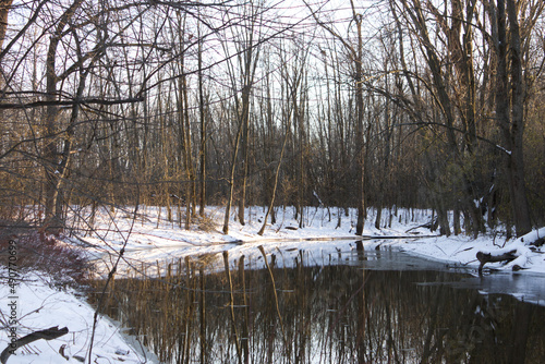 A relaxing scene in a wooded area after the first snow, bordering a river reflecting the bare trees