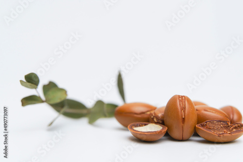 Argan seeds isolated on a white background. Argan oil nuts with plant. Cosmetics and natural oils background.