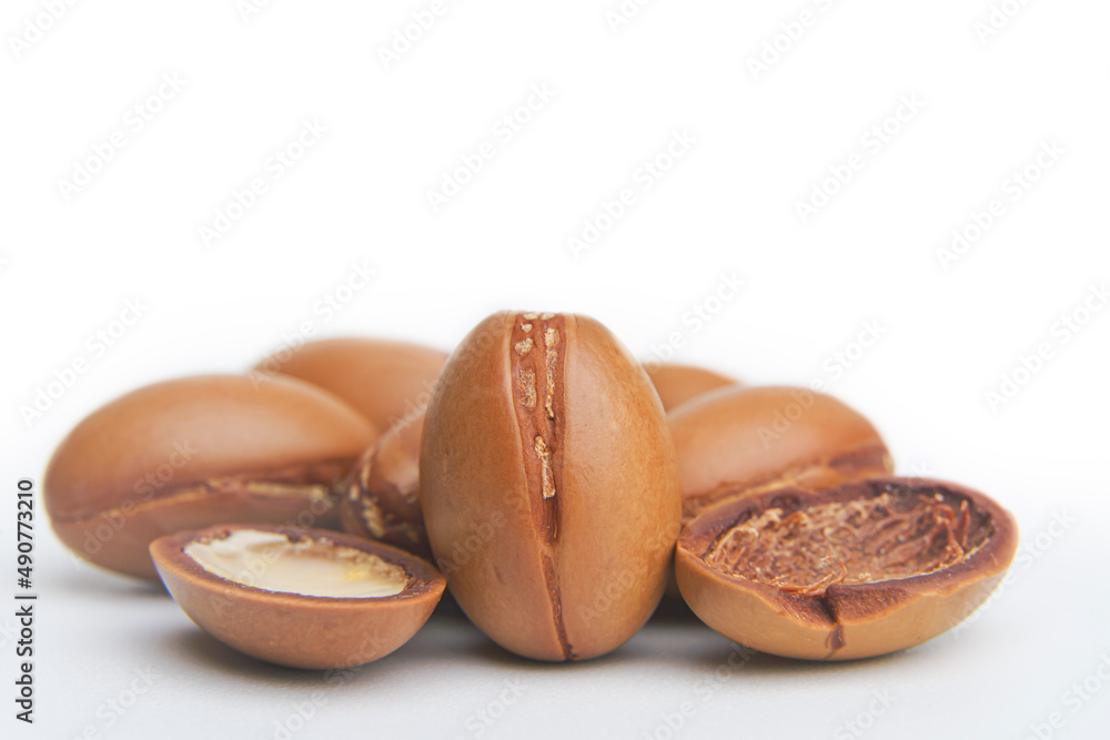 Argan seeds isolated on a white background. Argan oil nuts with plant. Cosmetics and natural oils background. Argan seeds isolated on a white background. Argan oil nuts with plant. Cosmetics and natural oils background.