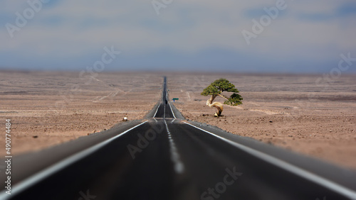longa estrada em linha reta numa região deserta com uma arvore do lado direito e uma seta na pista indicando o futuro ano de 2022 photo