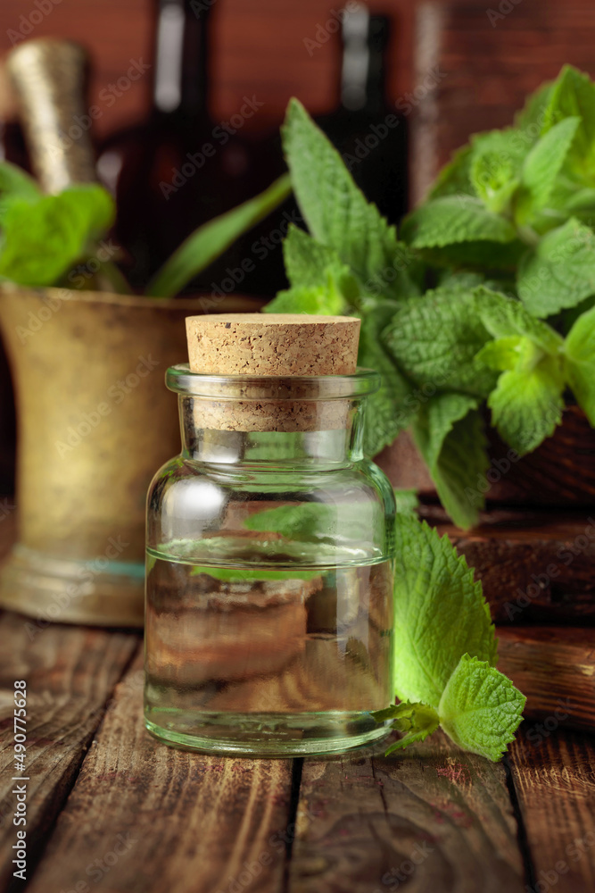 Fresh spearmint leaves and a small bottle with essential mint oil. Fresh spearmint leaves and a small bottle with essential mint oil.