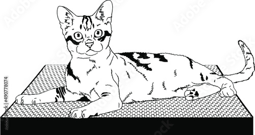 vector illustration. The cat on the couch. Cat on a scratching post. Cat. The cat is lying. Illustration.
