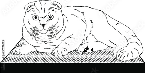 vector illustration. The cat on the couch. Cat on a scratching post. Cat. The cat is lying. Illustration.
