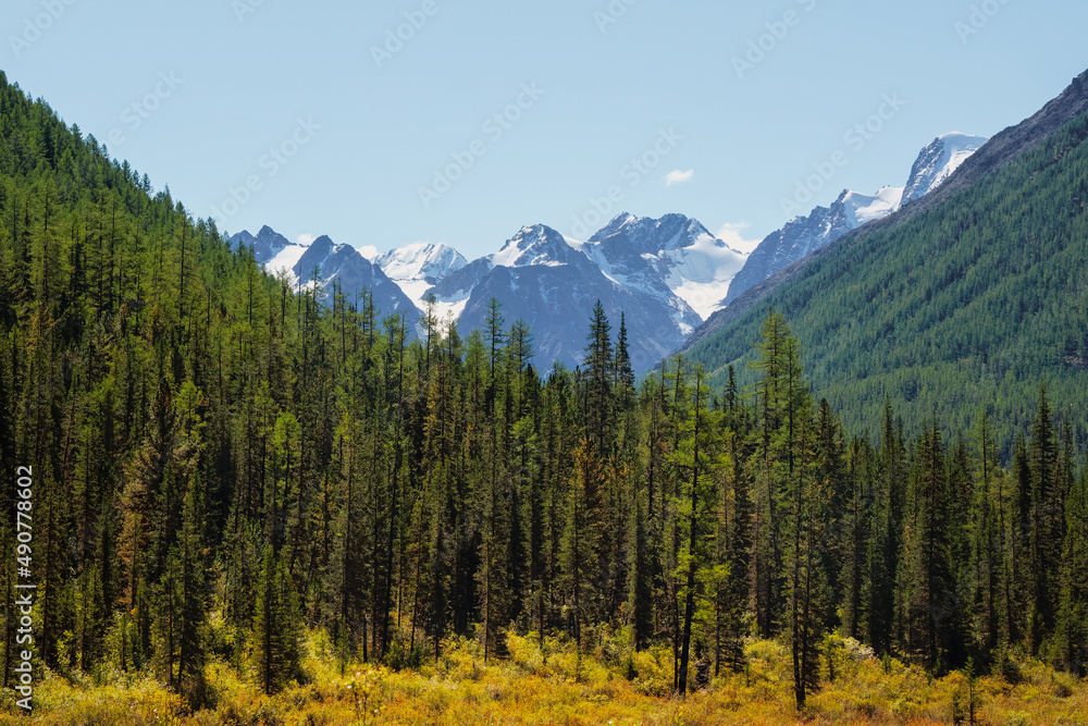 Obraz premium Minimalist atmospheric mountains landscape with big snowy mountain top over alpine green forest. Bright landscape with big mountain peak with glacier behind green fir tops in sunny day.