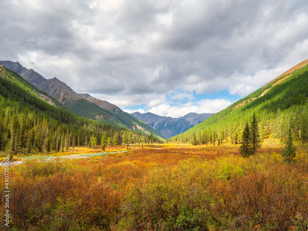 Bright sunny autumn landscape with sunlit gold valley and winding river with green fir trees on mountainside under blue sky. Awesome alpine scenery with beautiful mountains in golden sunshine.