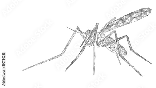 Mosquito. A blood-sucking insect. Polygonal design of interconnected lines and points.