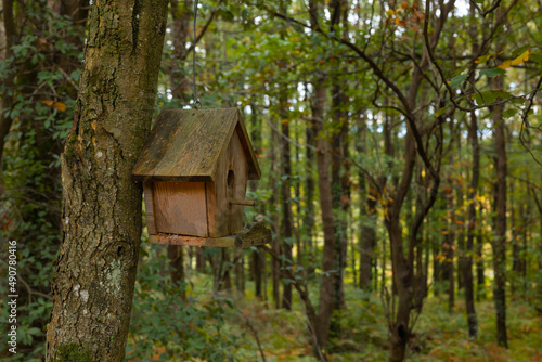 Birdhouse in the forest. Wildlife background photo. © senerdagasan