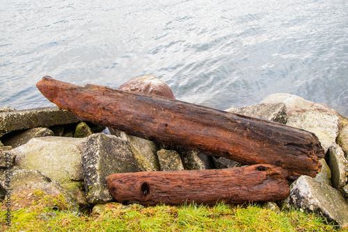 Troncos de madeiras e resto de arvores que boia no rio e mar que acabam chegando a praia ou a margem do rio photo