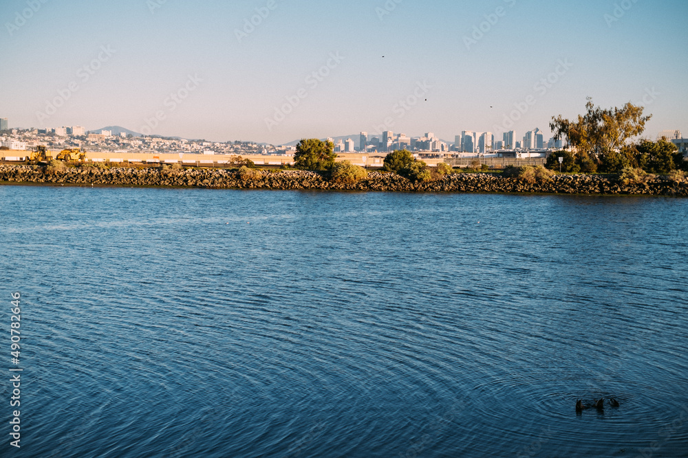 Skyline view with ducks in foreground in the water Skyline view with ducks in foreground in the water