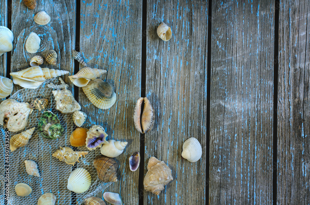 Top view of a beach sea background made of seashells, on a wooden background with peeling blue paint. Daylight, copy space, vintage style. Vacation and fishing concept Top view of a beach sea background made of seashells, on a wooden background with peeling blue paint. Daylight, copy space, vintage style. Vacation and fishing concept