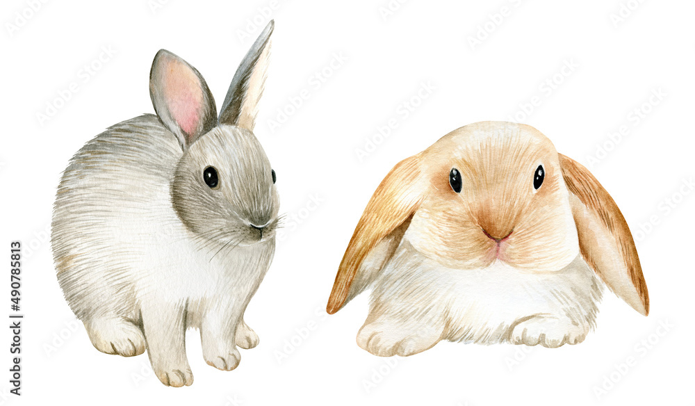 Traceable Watercolour Rabbit Watercolor rabbits illustration isolated on white background. Stock ...