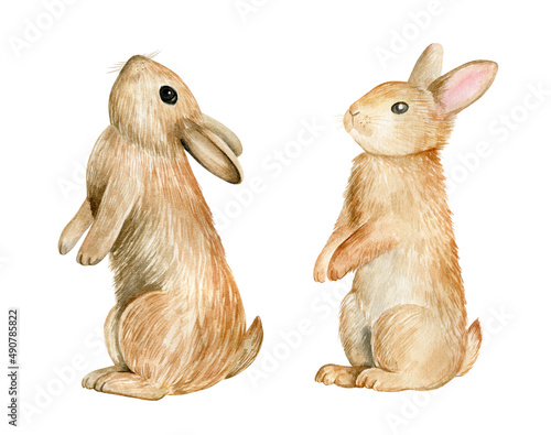 Watercolor rabbits illustration isolated on white background.