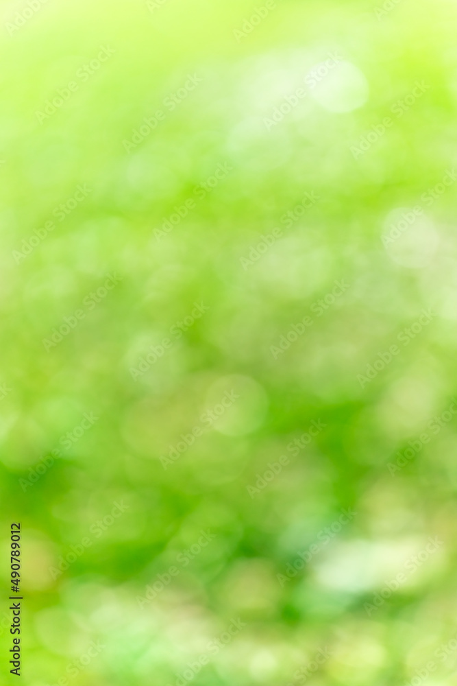 Spring background - abstract nature background with green blurred bokeh lights - Spring background - abstract nature background with green blurred bokeh lights -