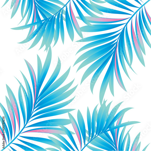 Palm. Vector image with branches and leaves of tropical plants. 
