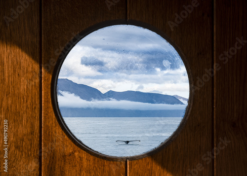 Fényképezés View of the whale tale from the porthole. Husavik, Iceland.