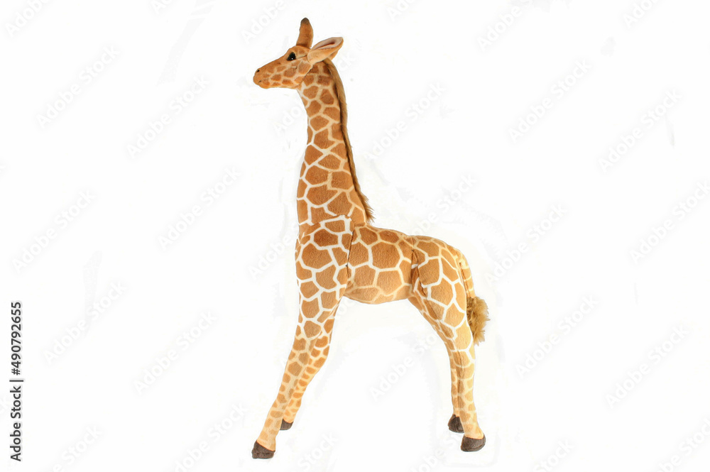 plush toy giraffe white background baby children plush toy giraffe white background baby children