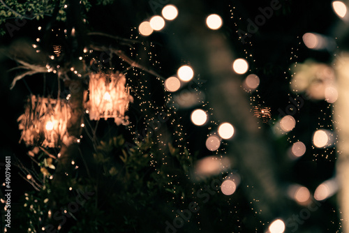 Photography Trees decorated with lights and lanterns for Christmas in Tokyo, Japan
