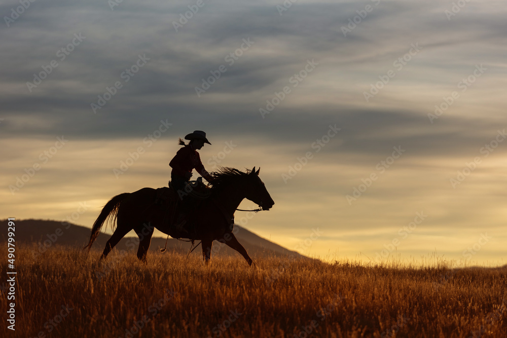 cowgirl Silhouette cowgirl Silhouette