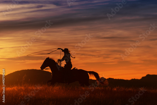 cowgirl Silhouette 