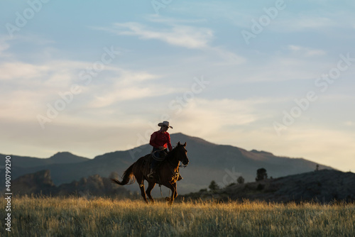 cowgirl Silhouette  © Terri Cage 