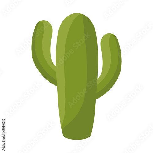 green cactus design
