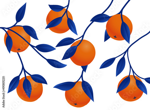 Orange fruit on the branch with blue leaves vector illustration. 3d pattern illustration. Isolated citrus fruits design. 