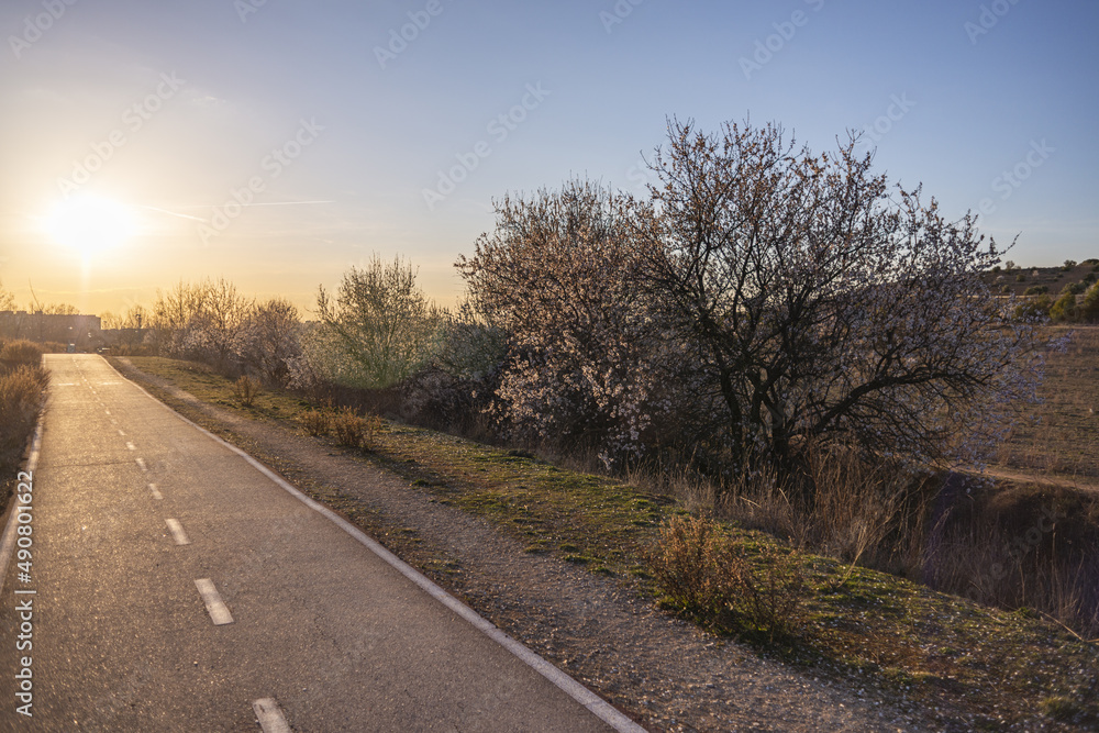 Fototapeta premium road in the countryside