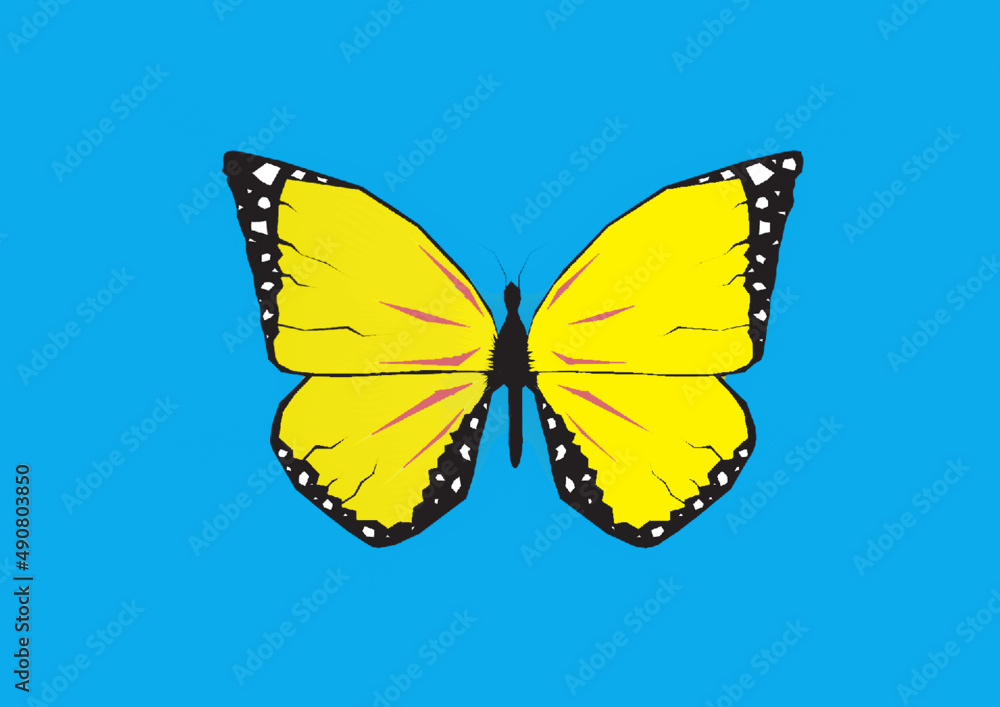 Obraz premium butterfly on blue background