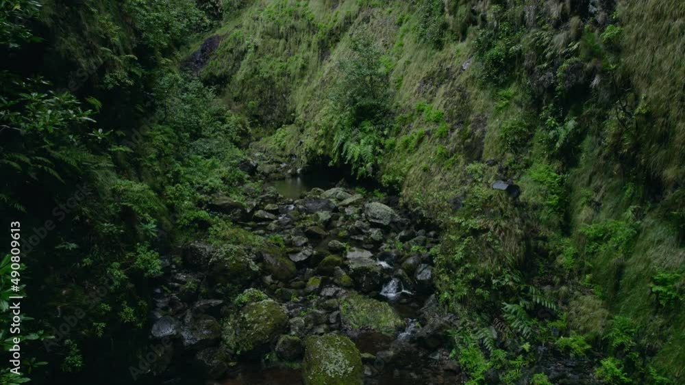 Beautiful waterfall in green forest, top view. Tropical in mountain jungle. River in the gorge 4k 30 FPS Beautiful waterfall in green forest, top view. Tropical in mountain jungle. River in the gorge 4k 30 FPS