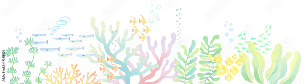 珊瑚と小魚の下ラインフレーム飾り枠 イラスト /  珊瑚 . 小魚 . 水中 . カラフル