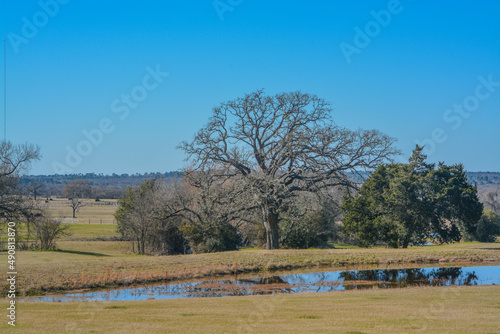 A Pond in a pasture. In the countryside of Texas 