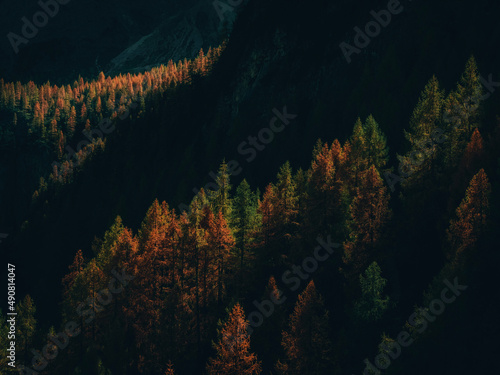 autumn in the mountains