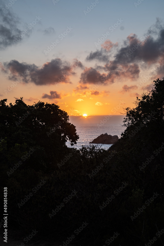 Sunset scene between some trees on the beach at Quintay, Chile Sunset scene between some trees on the beach at Quintay, Chile