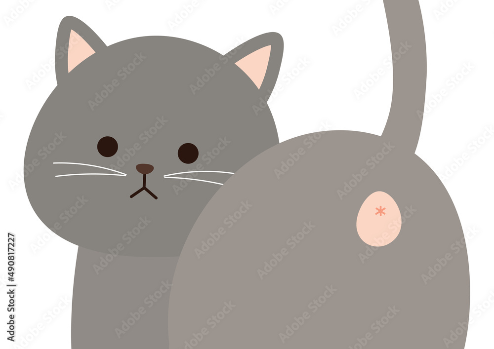 ネコの肛門腺絞り おしりのイラスト Stock Vector Adobe Stock