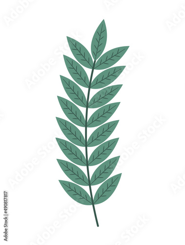 green plant branch