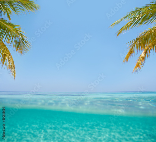 Fototapeta Naklejka Na Ścianę i Meble -  An island paradise. A beautiful turquoise ocean.
