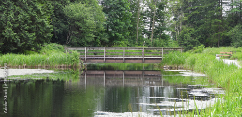 Reserve of nature with pond, bench and bridge