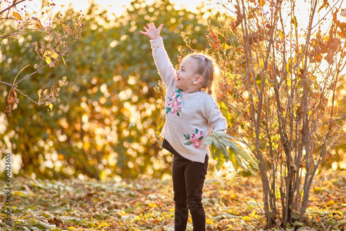 Cute little girl with pigtails in a gray sweater playing with autumn leaves.